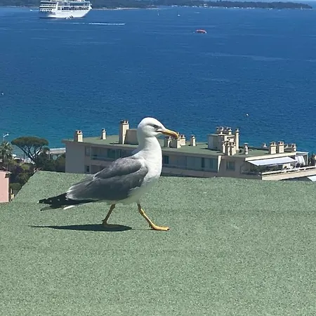 Apartment Cannes, Magnifique T2 Vue Mer, Piscine, Garage Cannes